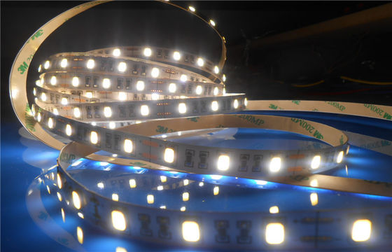 IP20 CIR90 SMD5630 LED Strip Light With PCB boards 3 Years Warranty