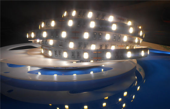 IP20 CIR90 SMD5630 LED Strip Light With PCB boards 3 Years Warranty